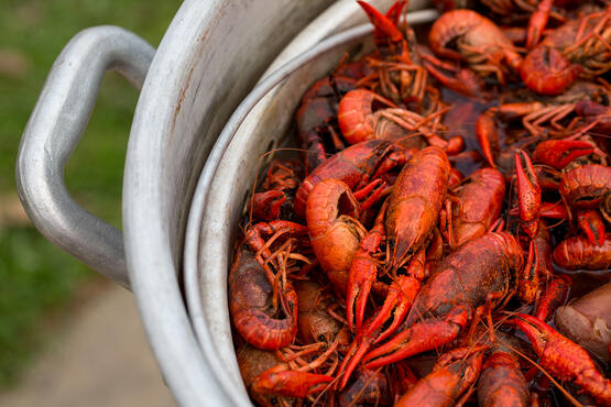 Consejos para forúnculos de mariscos más saludables de los cardiólogos